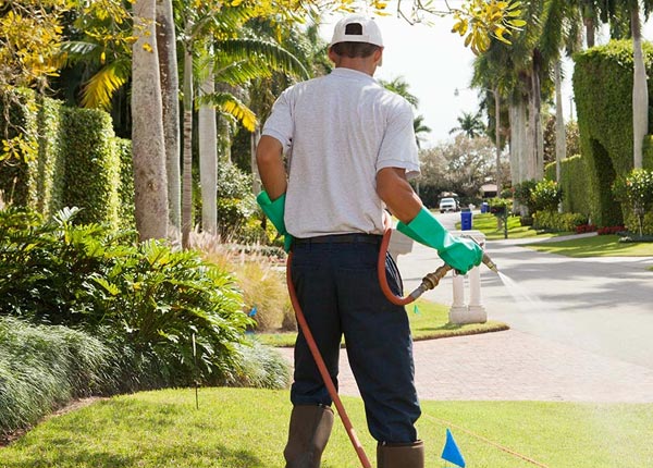 About Crowville LA Pest Control